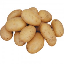 Fresh Potato (Aloo)
