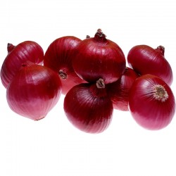 Fresh Onion (Pyaaj)