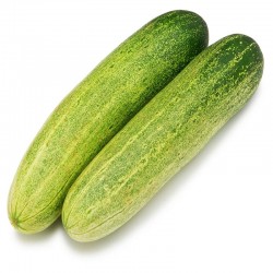 Fresh Green Cucumber (kakdi)